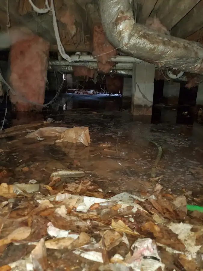 Crawl space flood assessment for Leak Detection & Repair in Seagoville