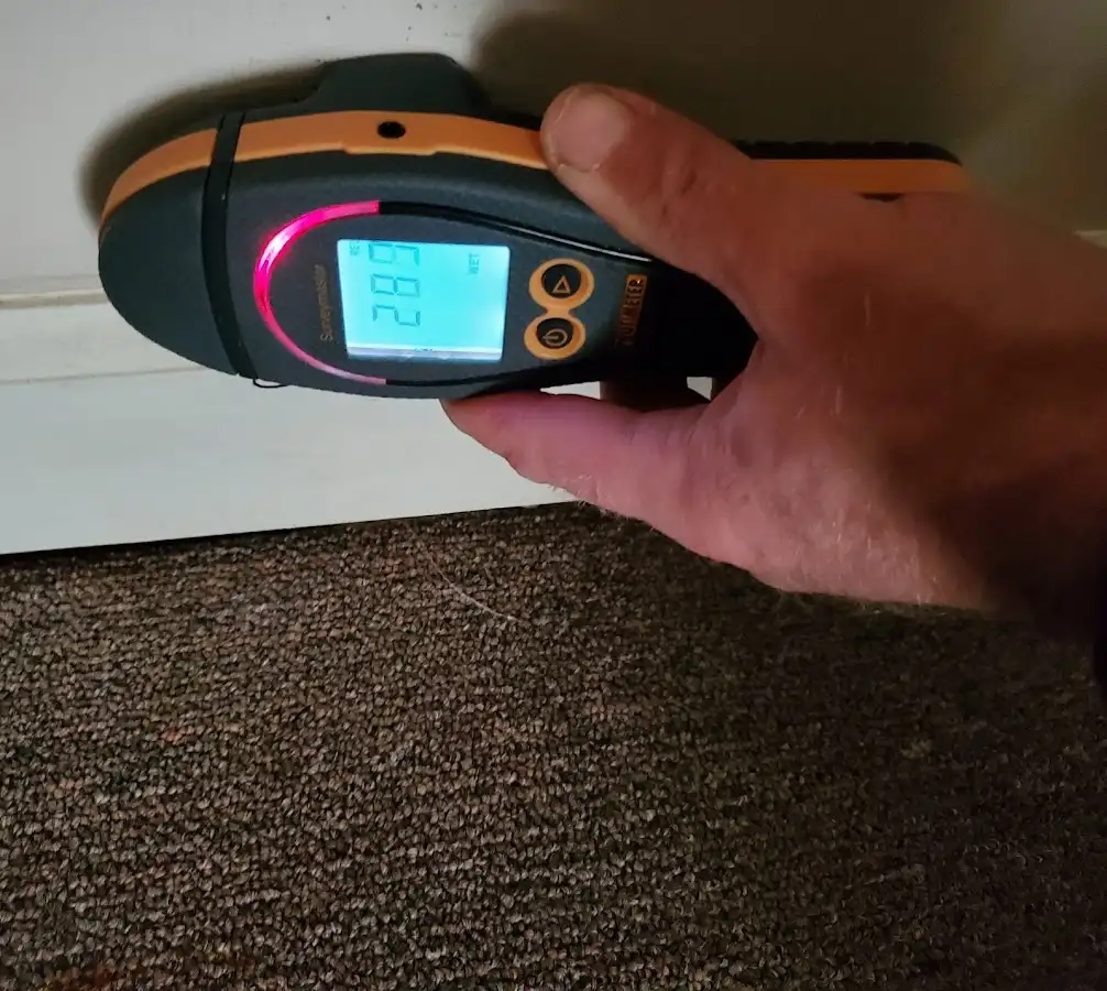 Moisture detection at baseboard during Mold Inspection & Testing in Seagoville